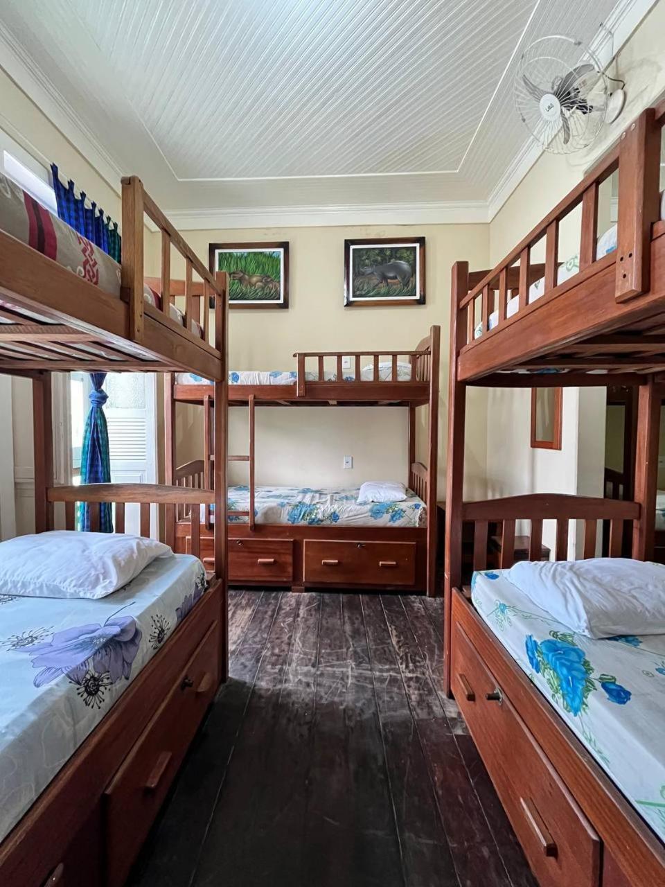 Hostel マナウス エクステリア 写真
