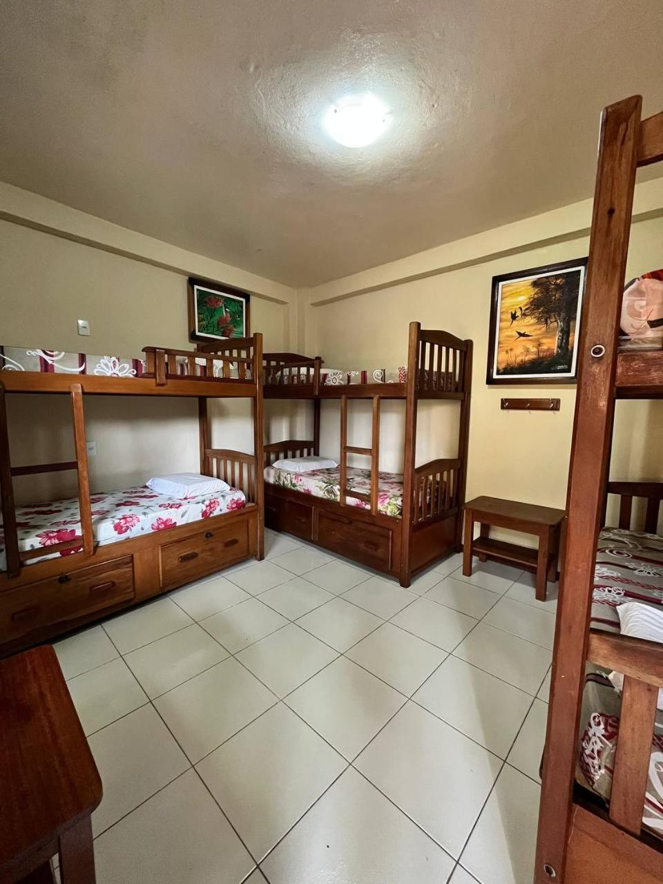 Hostel マナウス エクステリア 写真